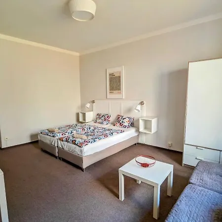 Apartment Flat In Zizkov -104- Prague