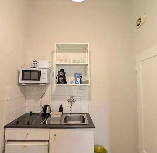 Flat In Zizkov -104- * براغ